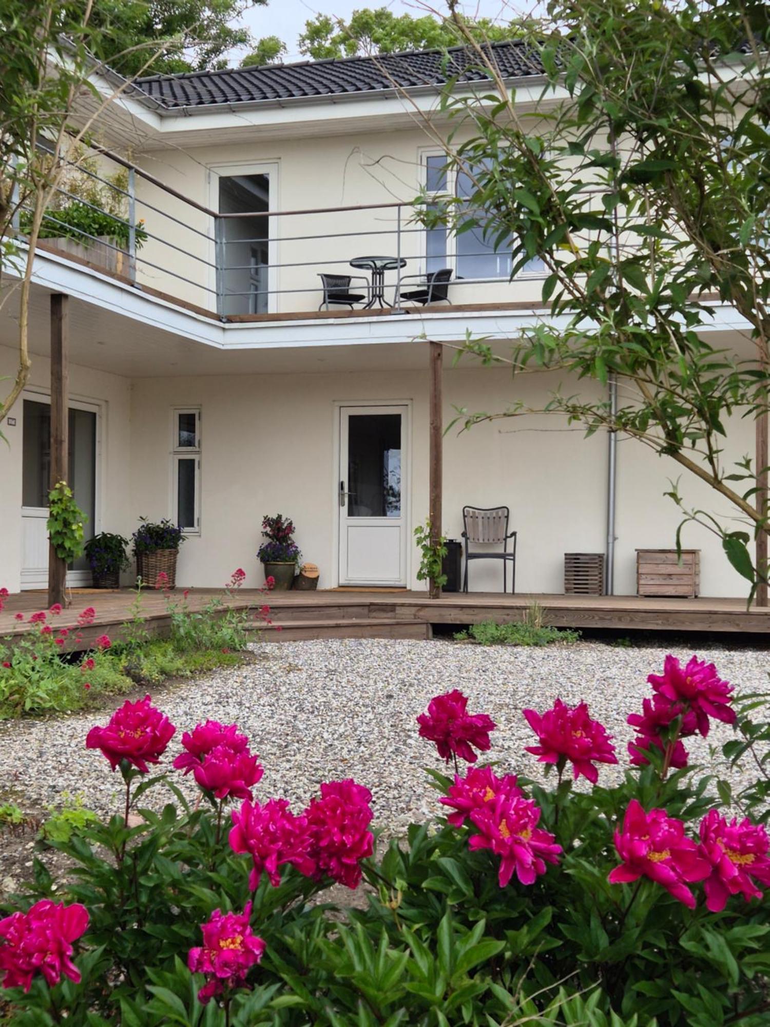 Mols Bed & Breakfast Knebel Экстерьер фото