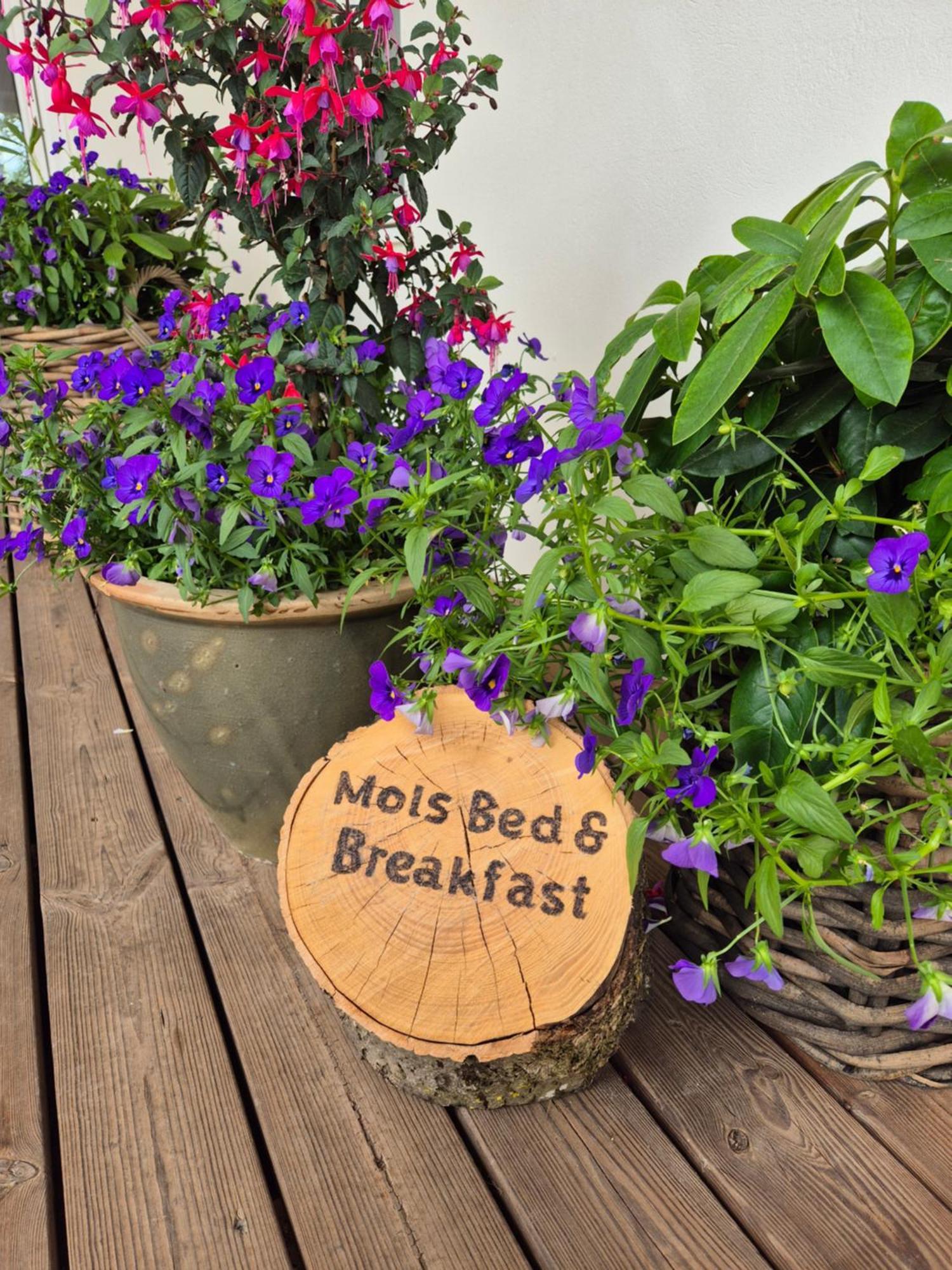 Mols Bed & Breakfast Knebel Экстерьер фото
